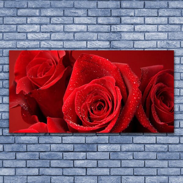 Tablou pe sticla Trandafiri Floral Red