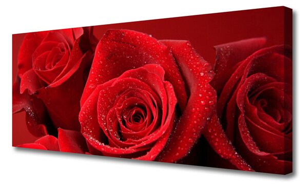 Tablou pe panza canvas Trandafiri Floral Red