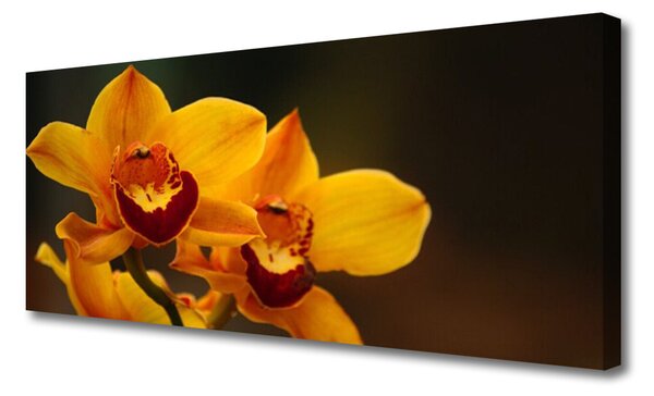 Tablou pe panza canvas Flori Floral Galben