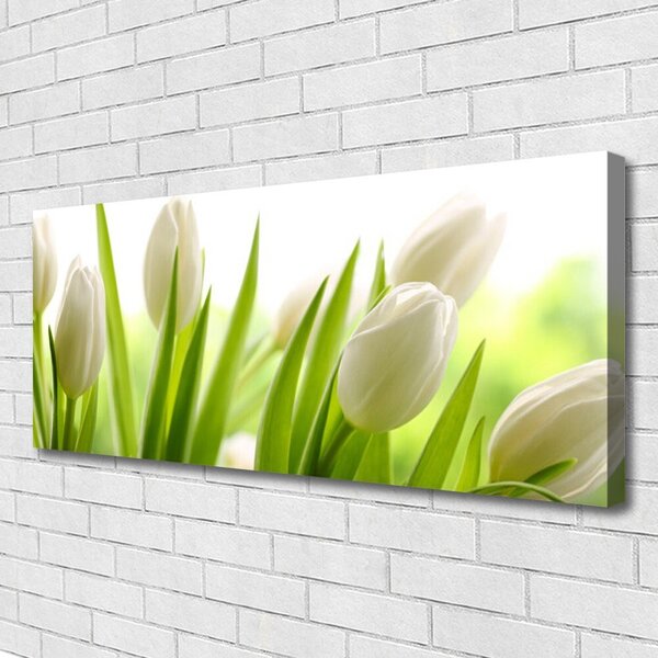 Tablou pe panza canvas Lalele Floral Alb Verde