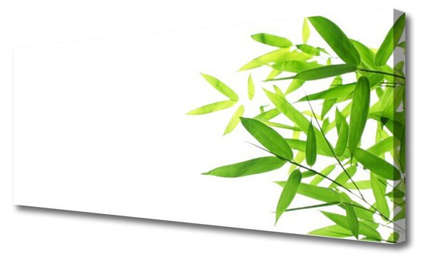 Tablou pe panza canvas Frunze verde florale
