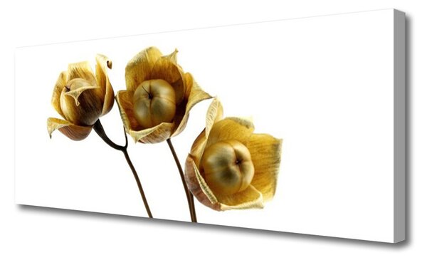 Tablou pe panza canvas Flori Floral Verde Maro