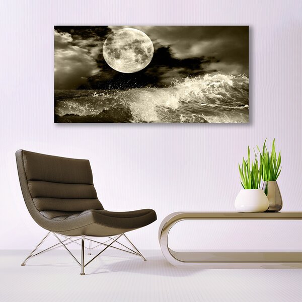 Tablou pe panza canvas Noapte Moon Peisaj Gri Negru