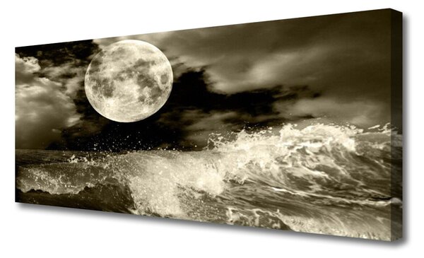 Tablou pe panza canvas Noapte Moon Peisaj Gri Negru
