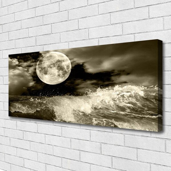 Tablou pe panza canvas Noapte Moon Peisaj Gri Negru
