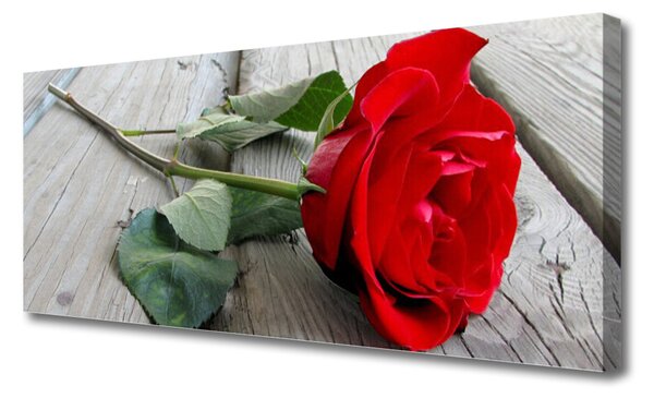 Tablou pe panza canvas Rose Floral Roșu Verde