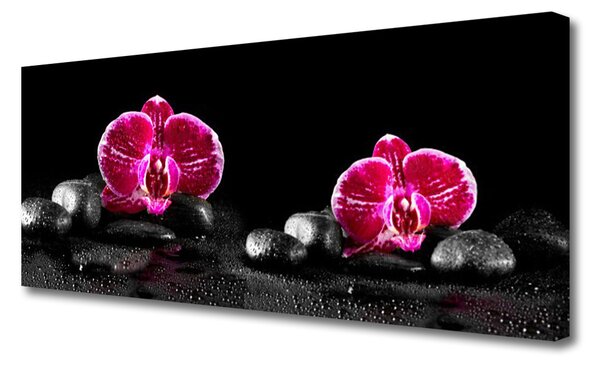 Tablou pe panza canvas Pietrele florale flori Negru Roșu