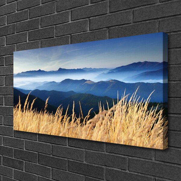 Tablou pe panza canvas Câmp Peisaj Albastru Alb Galben
