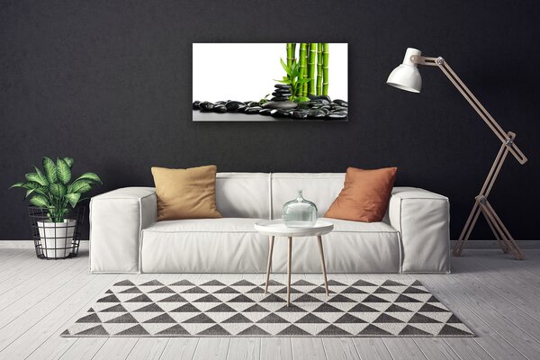 Tablou pe panza canvas Bamboo Pietre Arta Verde Negru