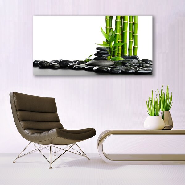 Tablou pe panza canvas Bamboo Pietre Arta Verde Negru