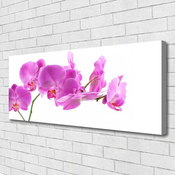 Tablou pe panza canvas Flori roz Floral