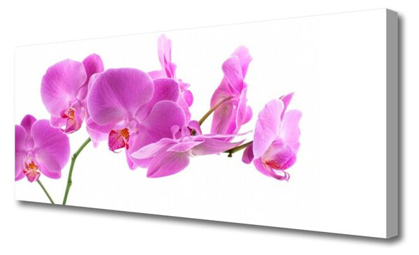 Tablou pe panza canvas Flori roz Floral