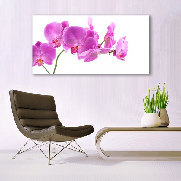 Tablou pe sticla Flori roz Floral