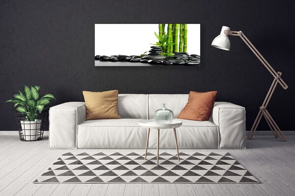 Tablou pe panza canvas Bamboo Pietre Arta Verde Negru