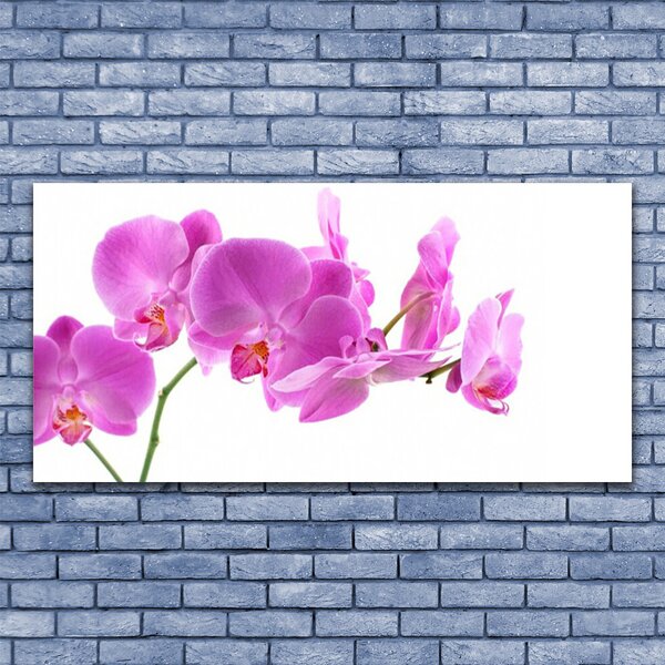 Tablou pe sticla Flori roz Floral