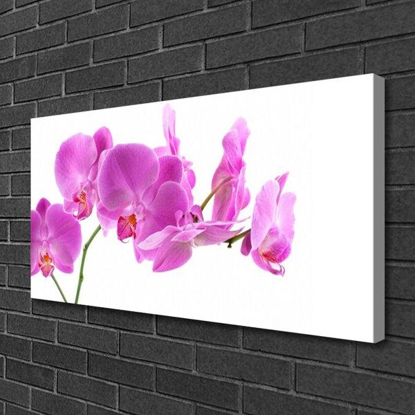Tablou pe panza canvas Flori roz Floral