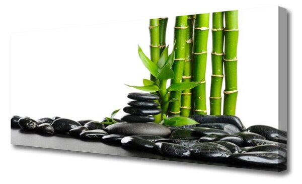 Tablou pe panza canvas Bamboo Pietre Arta Verde Negru