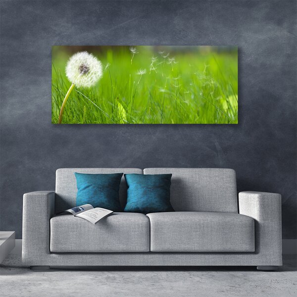 Tablou pe panza canvas Pusteblume Iarbă Floral Alb Verde