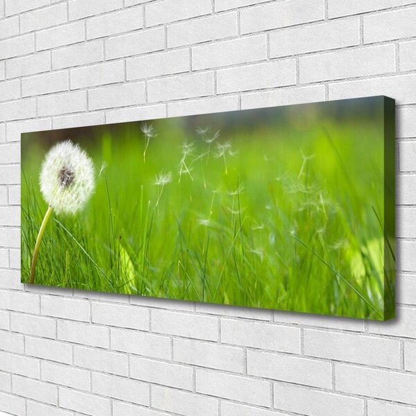 Tablou pe panza canvas Pusteblume Iarbă Floral Alb Verde