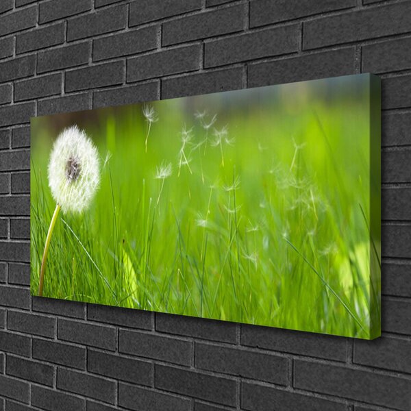 Tablou pe panza canvas Pusteblume Iarbă Floral Alb Verde