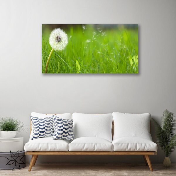 Tablou pe panza canvas Pusteblume Iarbă Floral Alb Verde