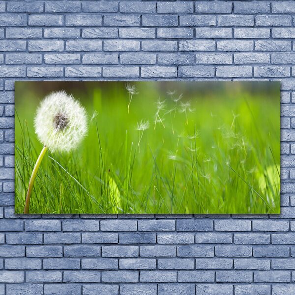 Tablou pe panza canvas Pusteblume Iarbă Floral Alb Verde