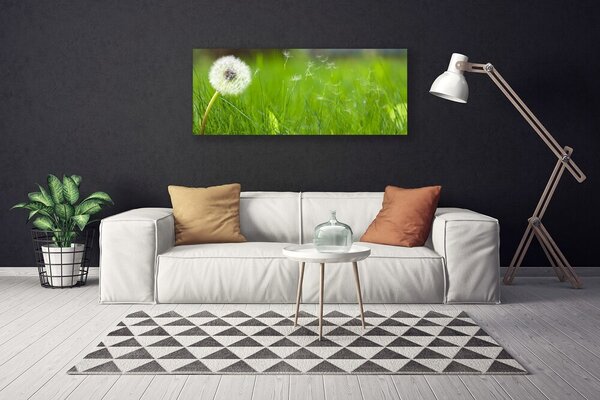 Tablou pe panza canvas Pusteblume Iarbă Floral Alb Verde