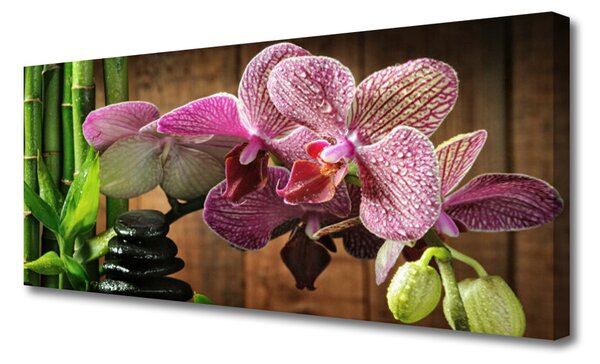 Tablou pe panza canvas Flori de bambus pietre Floral Verde Negru Roz