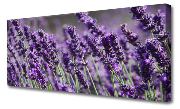 Tablou pe panza canvas Flori Floral violet