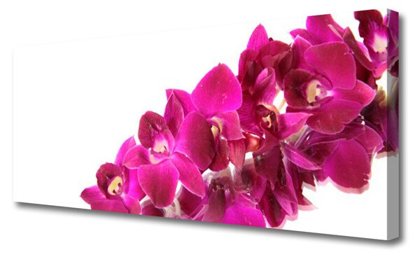 Tablou pe panza canvas Flori Floral Roșu