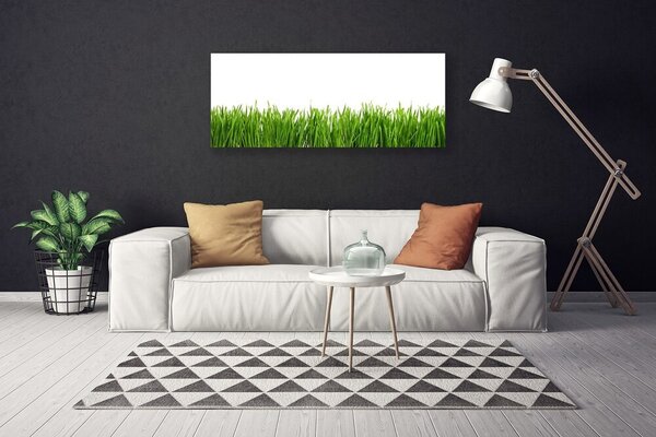 Tablou pe panza canvas Iarbă Natura verde