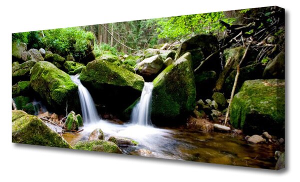 Tablou pe panza canvas Cascada Rocks Natura Verde Alb Gri