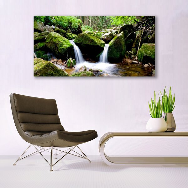 Tablou pe panza canvas Cascada Rocks Natura Verde Alb Gri