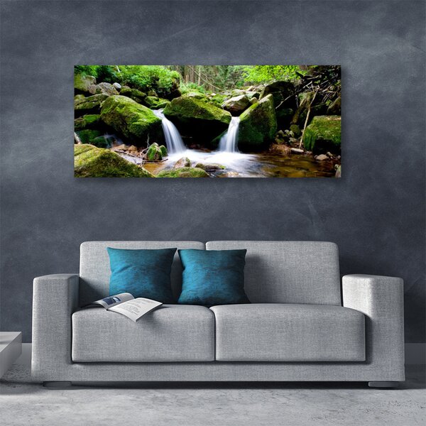 Tablou pe panza canvas Cascada Rocks Natura Verde Alb Gri