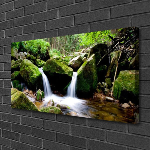 Tablou pe panza canvas Cascada Rocks Natura Verde Alb Gri