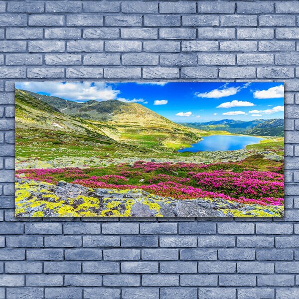 Tablou pe sticla Mountain Bay Meadow Natura Multi