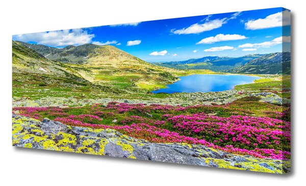 Tablou pe panza canvas Mountain Bay Meadow Natura Multi