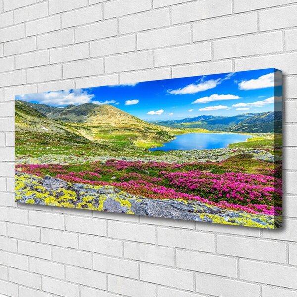 Tablou pe panza canvas Mountain Bay Meadow Natura Multi