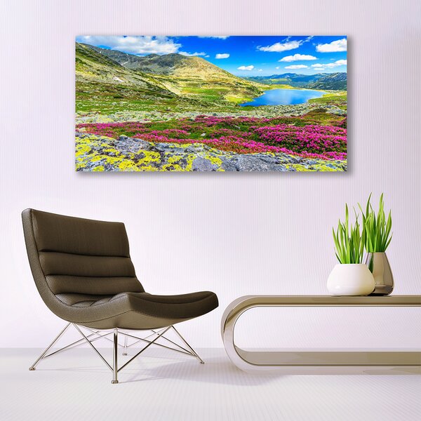 Tablou pe sticla Mountain Bay Meadow Natura Multi