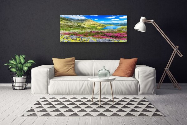 Tablou pe panza canvas Mountain Bay Meadow Natura Multi