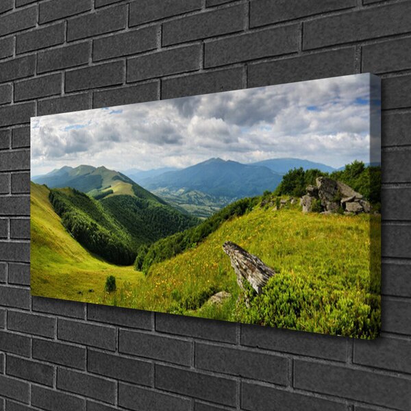 Tablou pe panza canvas Mountain Meadow Peisaj Verde Gri