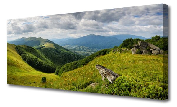 Tablou pe panza canvas Mountain Meadow Peisaj Verde Gri