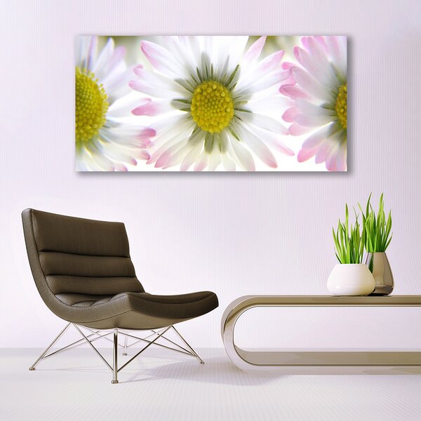 Tablou pe sticla Daisy Floral Verde Gri Alb