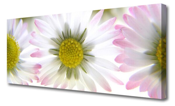 Tablou pe panza canvas Daisy Floral Verde Gri Alb