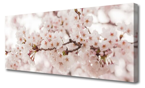 Tablou pe panza canvas Flori Floral alb