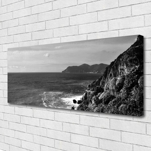 Tablou pe panza canvas Marea Munții Peisaj Gray