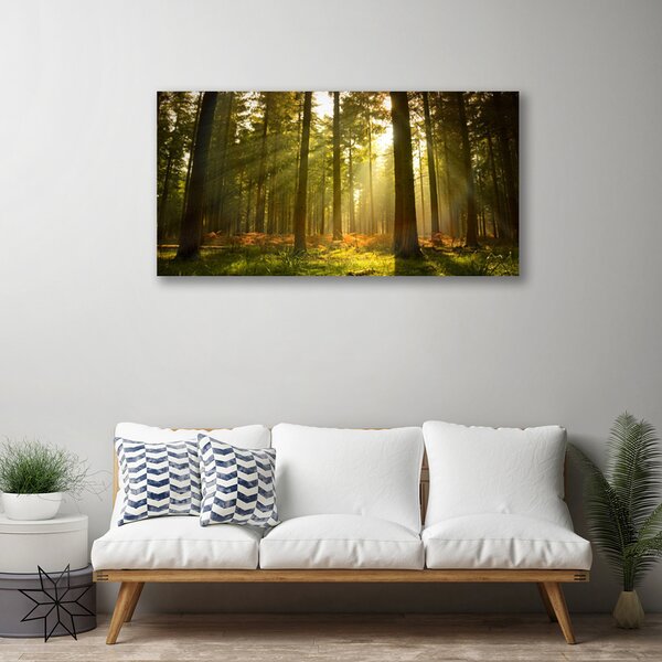 Tablou pe panza canvas Pădurea Verde Natura Maro