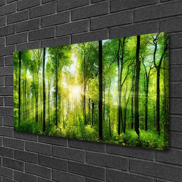 Tablou pe panza canvas Pădurea Verde Natura Maro