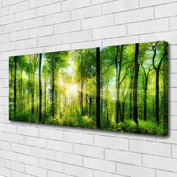 Tablou pe panza canvas Pădurea Verde Natura Maro