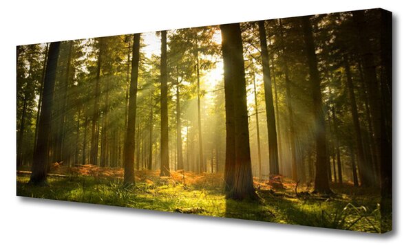 Tablou pe panza canvas Pădurea Verde Natura Maro